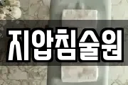 지압침술원