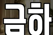 금하