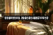 탐정들의영업비밀,경찰출신흥신소불륜증거수집전문