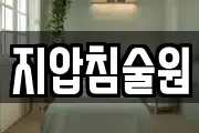 지압침술원