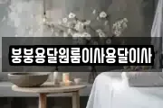 붕붕용달원룸이사용달이사