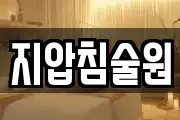 지압침술원