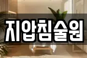 지압침술원