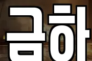 금하