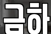 금하