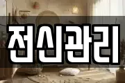 전신관리