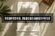탐정들의영업비밀,경찰출신흥신소불륜증거수집전문