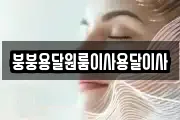 붕붕용달원룸이사용달이사