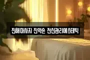 경상남도 창원시 진해구 마사지, 지압등 업체정보
