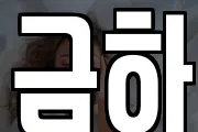 금하