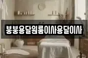 붕붕용달원룸이사용달이사