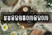 붕붕용달원룸이사용달이사