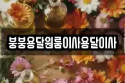 붕붕용달원룸이사용달이사