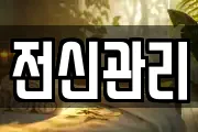전신관리