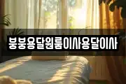 붕붕용달원룸이사용달이사