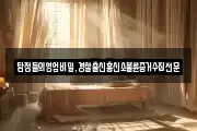 탐정들의영업비밀,경찰출신흥신소불륜증거수집전문