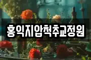 홍익지압척추교정원