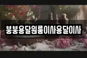 붕붕용달원룸이사용달이사