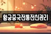 황궁중국전통전신관리