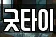 굿타이