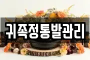귀족정통발관리