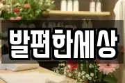 발편한세상