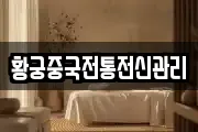 황궁중국전통전신관리