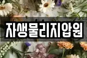 자생물리지압원