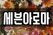 세븐아로마