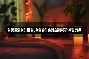 탐정들의영업비밀,경찰출신흥신소불륜증거수집전문