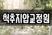 척추지압교정원
