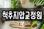 척추지압교정원