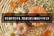 탐정들의영업비밀,경찰출신흥신소불륜증거수집전문