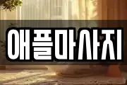 애플마사지