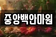 중앙백안마원