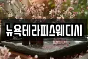 뉴욕테라피스웨디시