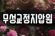무성교정지압원