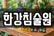 한강침술원