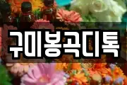 구미봉곡디톡