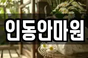 인동안마원