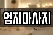 경상북도 김천시 교동 마사지, 지압등 업체정보