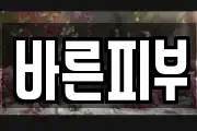 바른피부