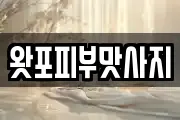 왓포피부맛사지