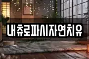 내츄로파시자연치유