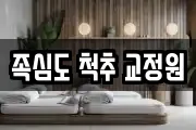 족심도 척추 교정원