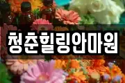 경상북도 상주시 개운동 마사지, 지압등 업체정보