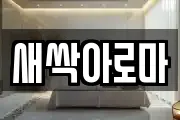 새싹아로마