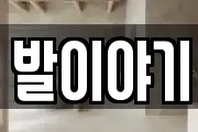 발이야기