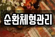 순환체형관리