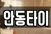 안동타이